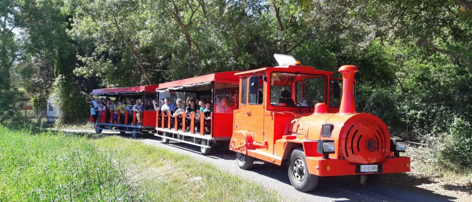 ÈXIT A LA SEGONA FIRA DE L'OU